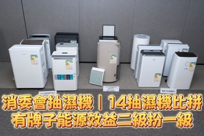 WhatsApp Image 2025-02-17 at 3.18.31 PM