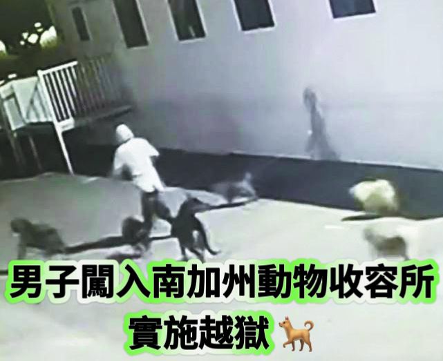 WhatsApp Image 2025-03-14 at 10.00.48 AM