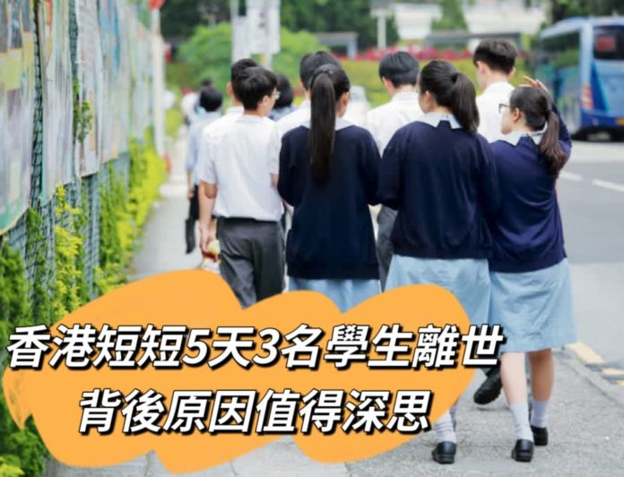 WhatsApp Image 2025-03-16 at 9.18.52 PM (1)