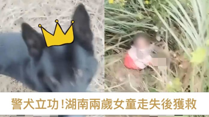 WhatsApp Image 2025-03-20 at 5.04.33 PM