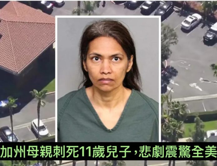 WhatsApp Image 2025-03-25 at 10.24.10 AM