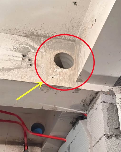 492258212_712453294773586_8656464434931427456_n