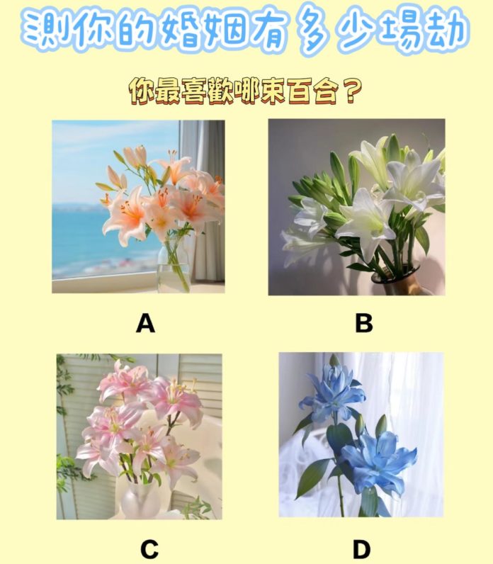 WhatsApp Image 2025-04-05 at 11.20.35 AM