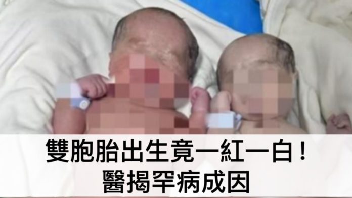 WhatsApp Image 2025-04-05 at 12.33.00 PM