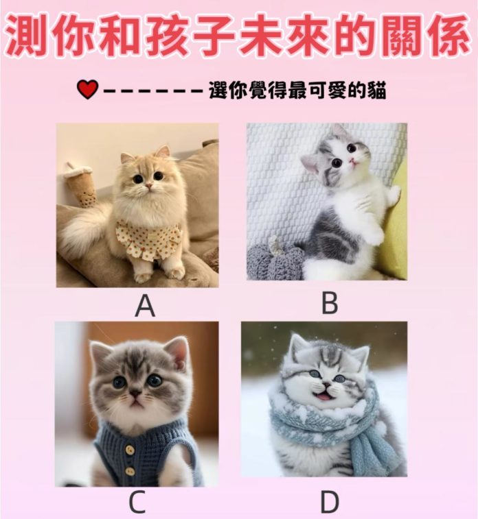 WhatsApp Image 2025-04-05 at 4.30.44 PM