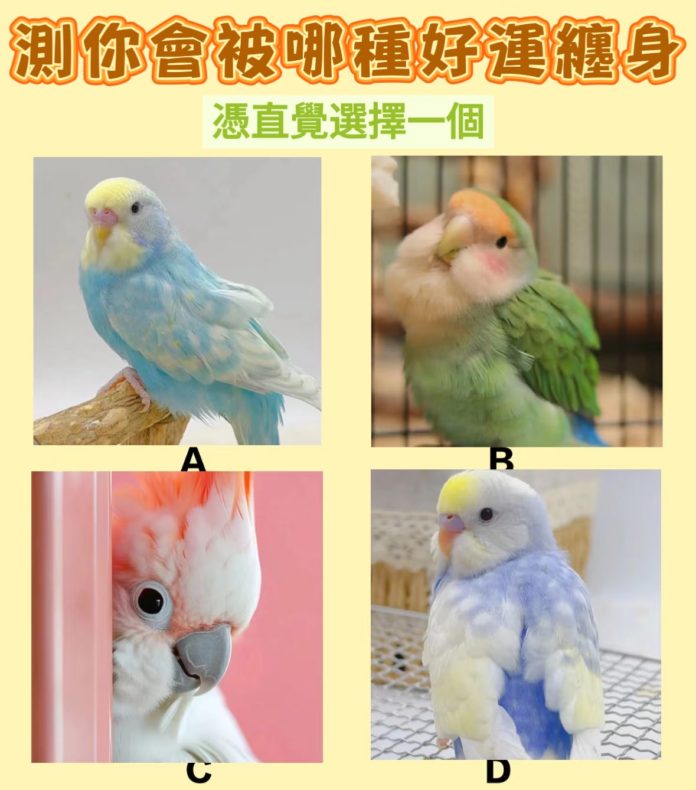 WhatsApp Image 2025-04-05 at 5.05.06 PM