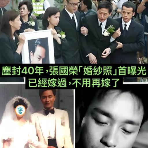 WhatsApp Image 2025-04-07 at 12.51.42 PM