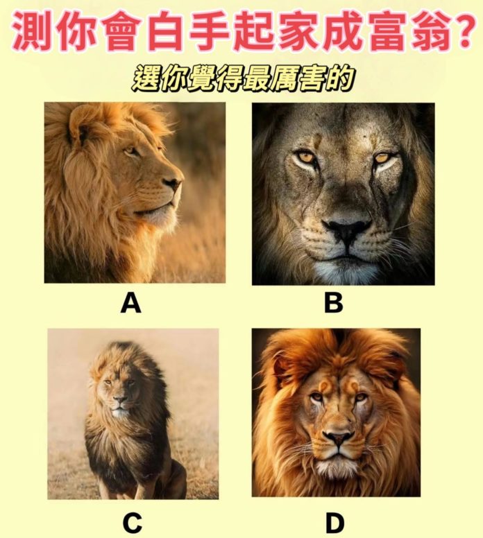 WhatsApp Image 2025-04-22 at 12.00.47 PM