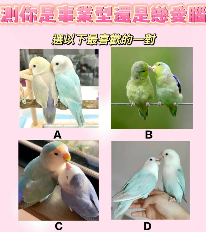 WhatsApp Image 2025-04-24 at 3.46.41 PM