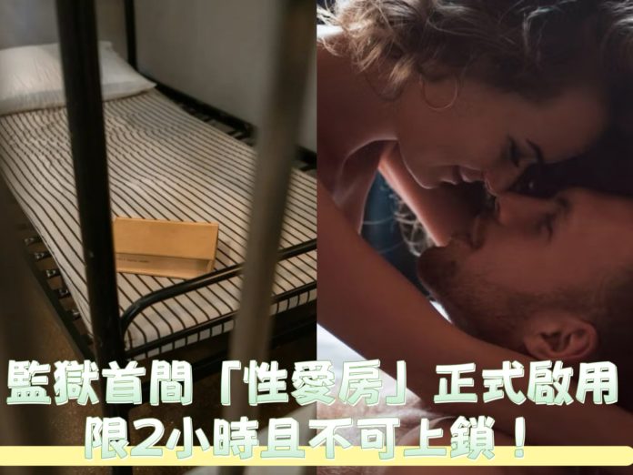 WhatsApp Image 2025-04-26 at 9.46.03 AM