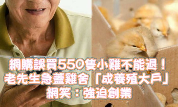 WhatsApp Image 2025-04-29 at 3.43.00 PM