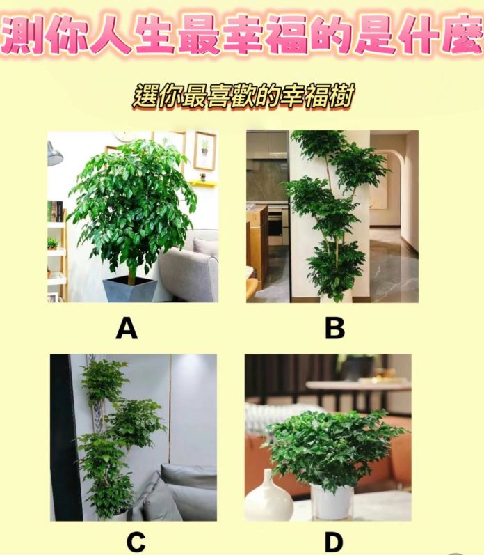 WhatsApp Image 2025-04-30 at 3.14.47 PM