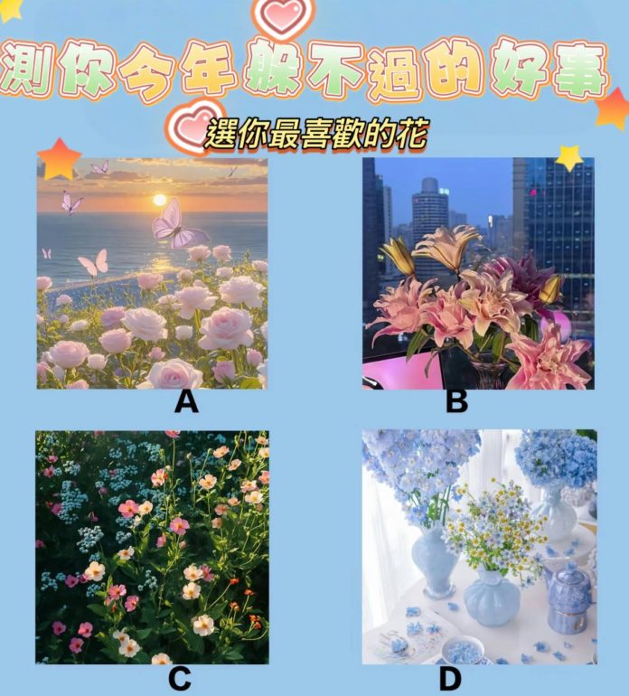 WhatsApp Image 2025-04-30 at 3.22.35 PM