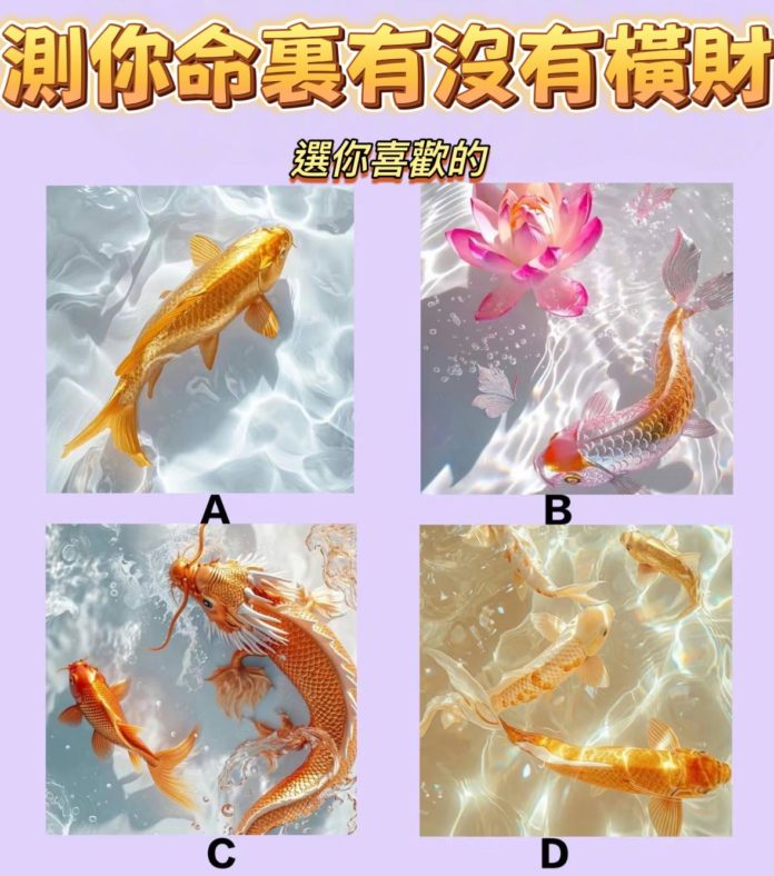 WhatsApp Image 2025-04-30 at 3.41.36 PM