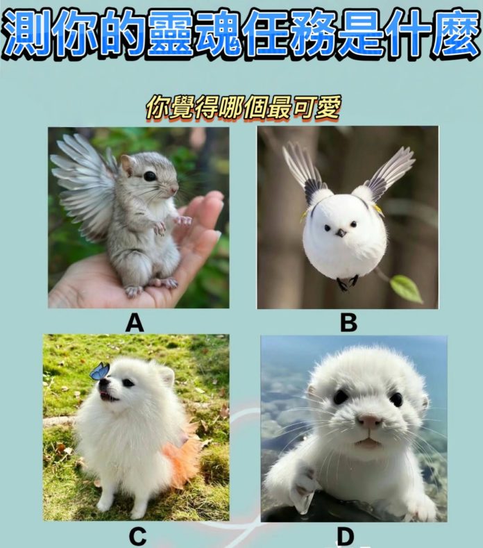 WhatsApp Image 2025-04-30 at 4.12.02 PM