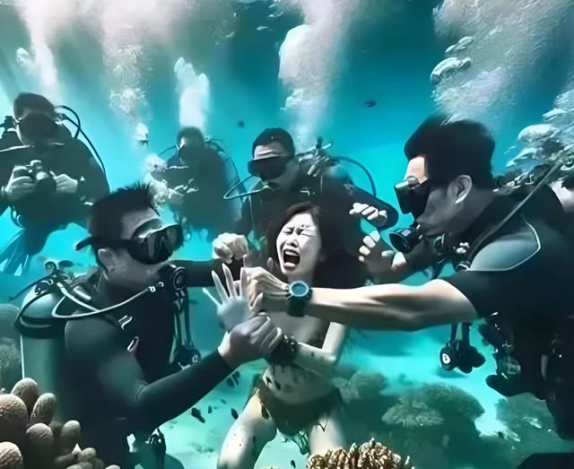 495448687_711522931401170_6625727615531762654_n