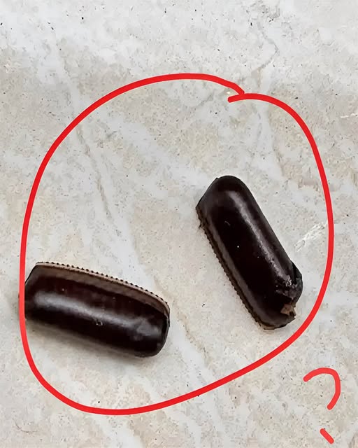 497731405_1295265868638086_3952486690545460276_n