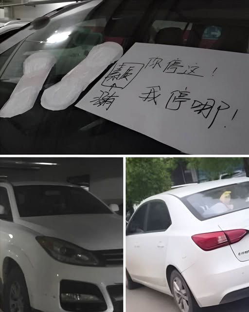 497787618_1295316058633067_1772101819560874678_n