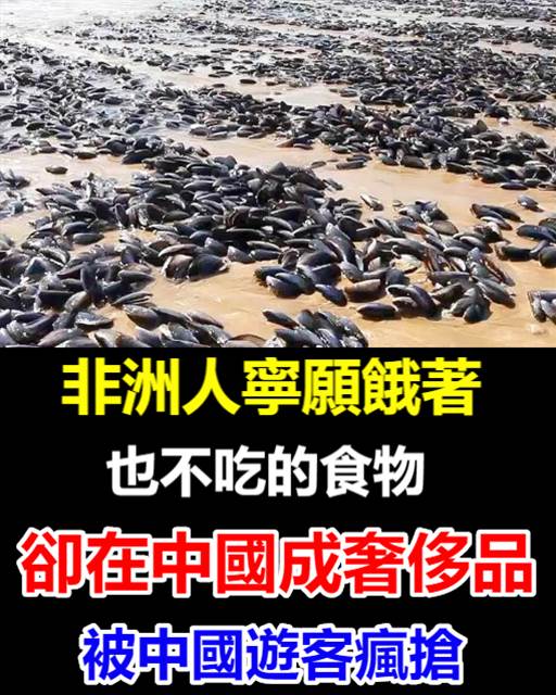 499709543_1297647328399940_3552784144946153906_n