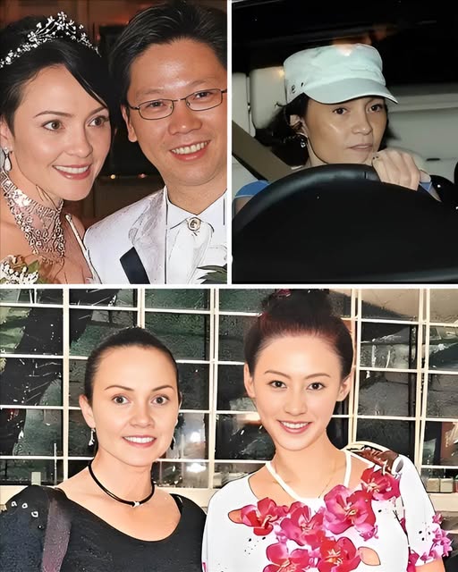 499966884_1301917187972954_6707995190963691917_n