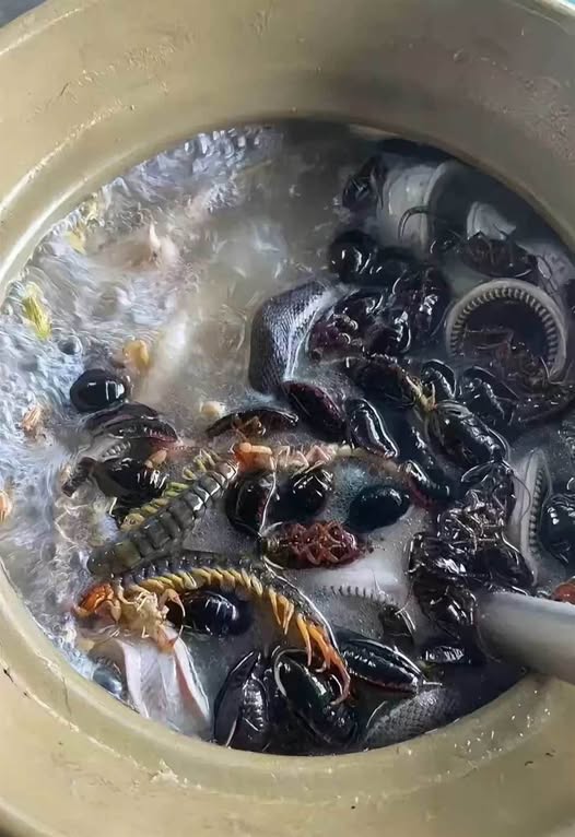 500394313_1303826194448720_7748546663820407828_n