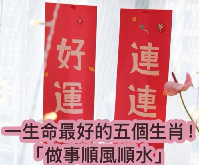 WhatsApp Image 2025-05-17 at 10.02.32 AM