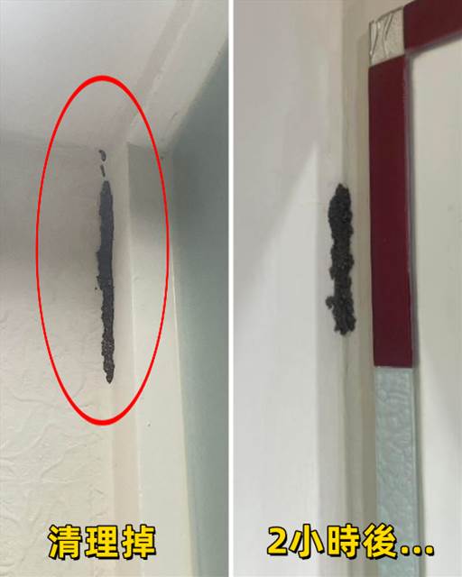 506198092_1315236349974371_1856709639982388799_n