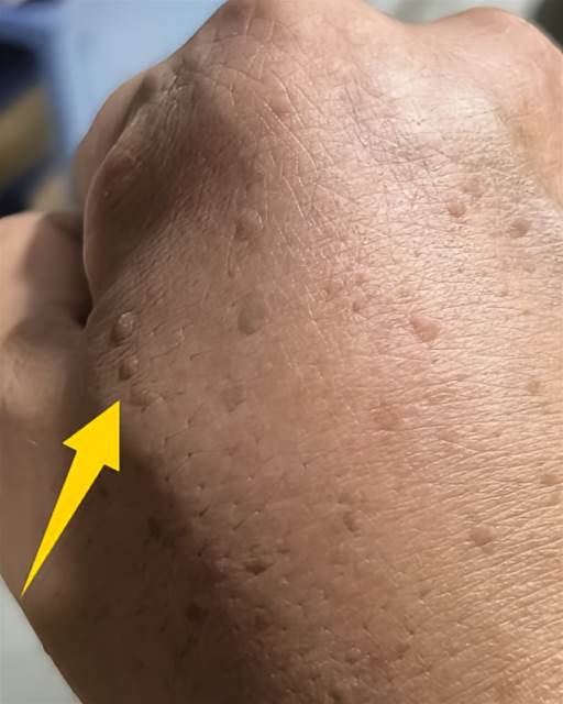 512461162_745530164667113_5499705140266132696_n