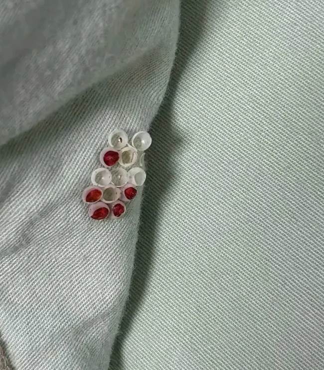 9A8EFB3CF257w650h743