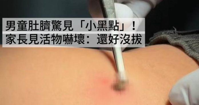 WhatsApp Image 2025-06-03 at 11.15.35 AM