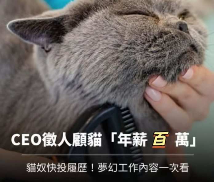 WhatsApp Image 2025-06-06 at 11.47.59 AM