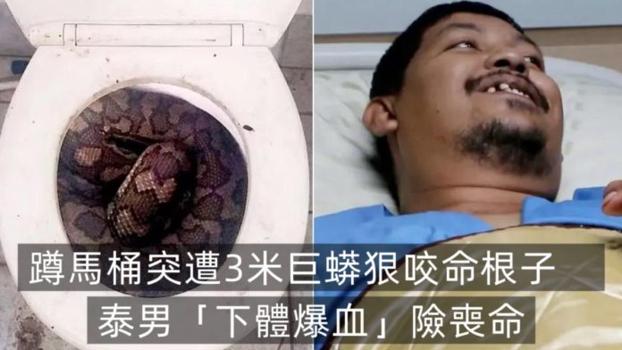 WhatsApp Image 2025-06-18 at 9.28.20 AM