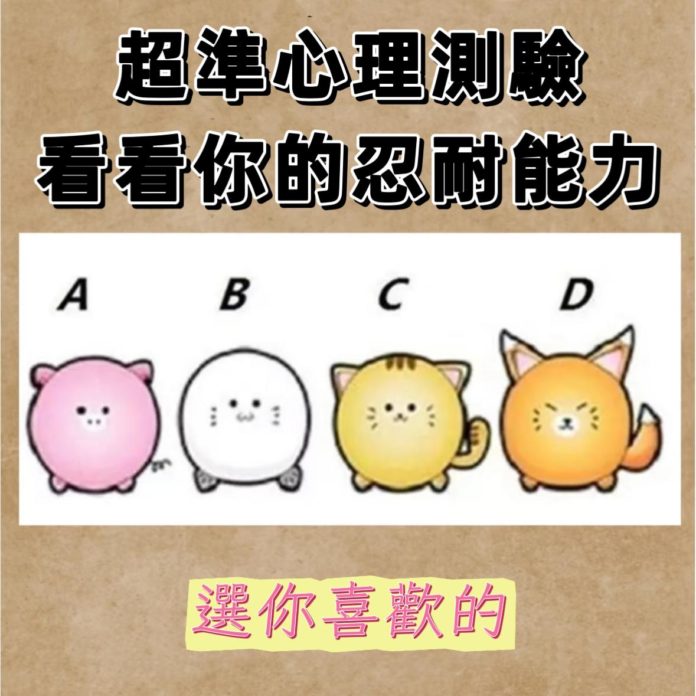 WhatsApp Image 2025-06-19 at 3.13.49 PM