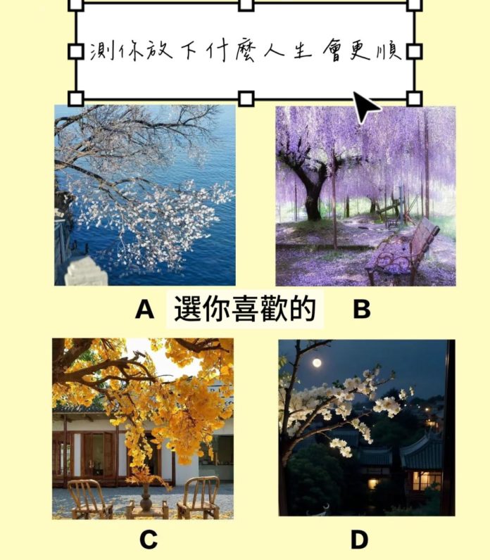 WhatsApp Image 2025-06-19 at 3.21.06 PM