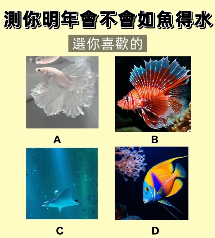 WhatsApp Image 2025-06-19 at 3.28.33 PM