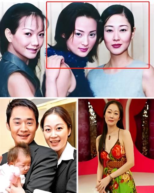 515437970_1333615624803110_2550538511793869815_n