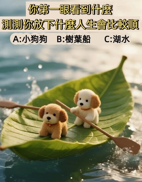 515614360_752260977327365_7039267995924848805_n