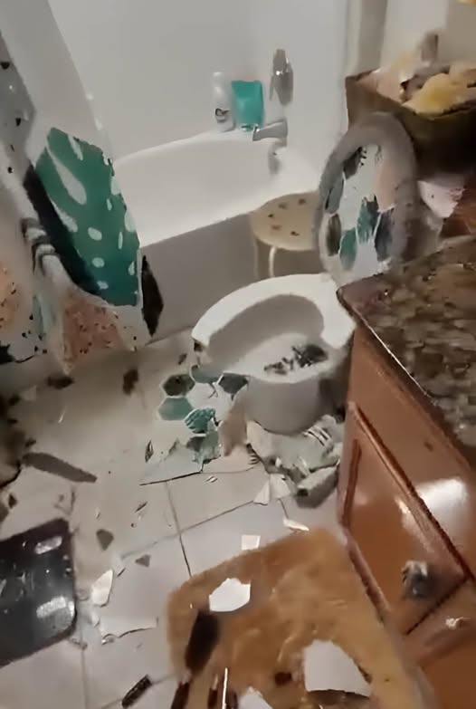 516501144_1134184985413229_2308500817513909180_n