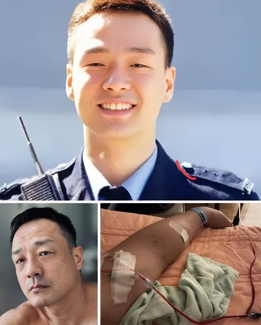 516762930_1139283288229706_5710581254639658134_n