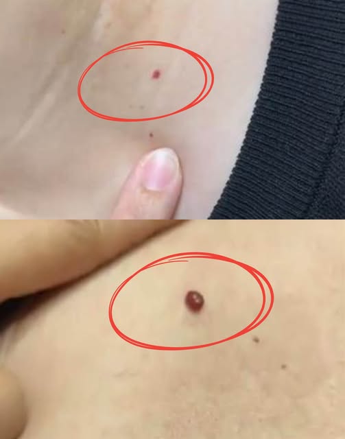 517198233_1337860334378639_5319308005858543620_n