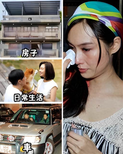 521137524_1172091644955822_4037652038482358685_n