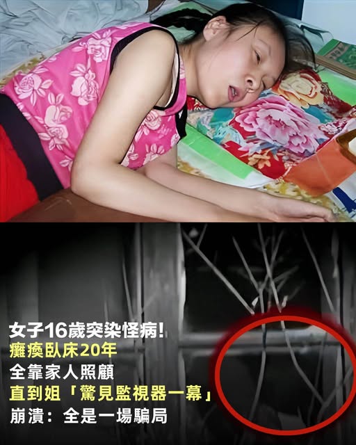 523318656_1348155413349131_5327856380261384199_n