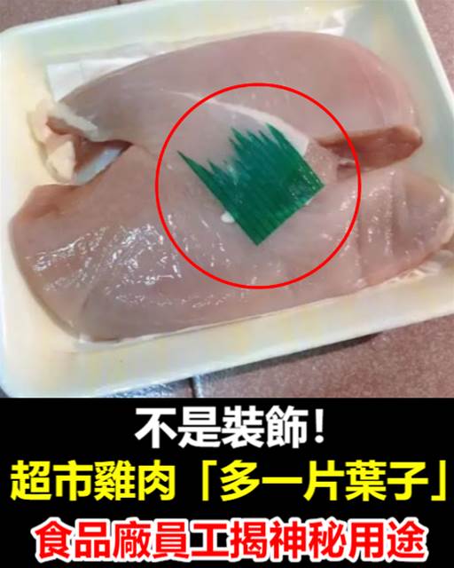 523826791_1349793176518688_2785500646594250190_n