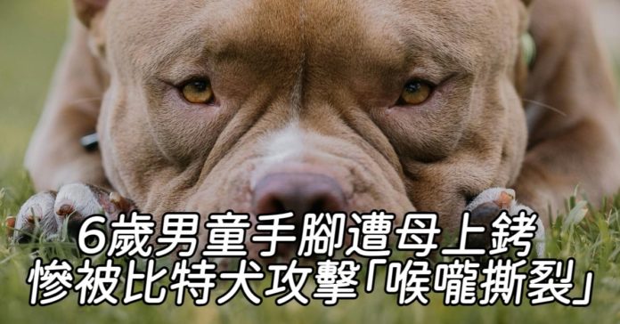 WhatsApp Image 2025-07-10 at 9.39.22 AM