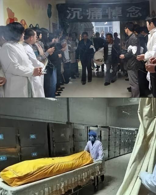 526747522_1354665349364804_1323964698413406365_n