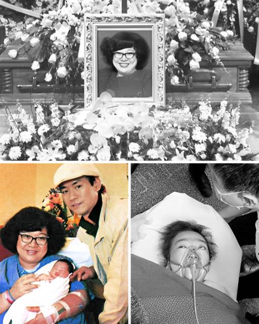 528321585_1184060720425581_6438220468567207237_n