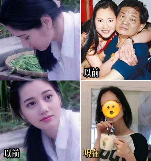 528749726_1182738220557831_3425533888862622759_n