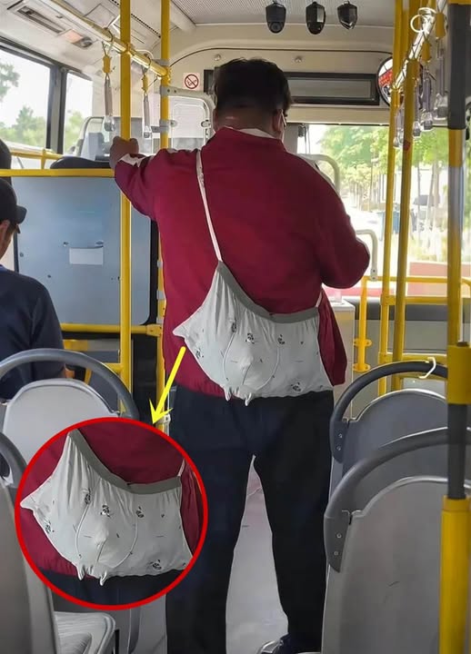 528862076_1358610615636944_1246993113255196935_n