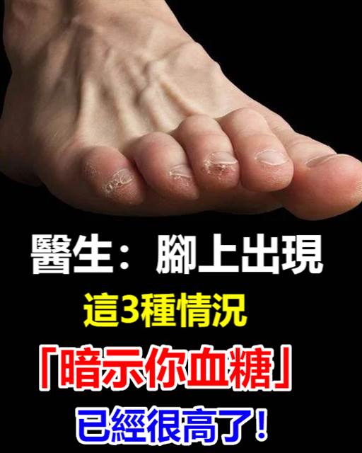 529934111_1360021272162545_5441352269044833027_n