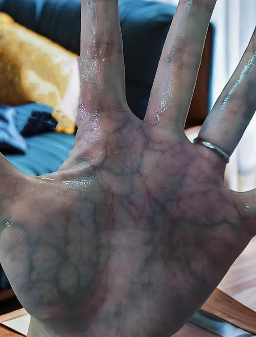 530752695_784361264117336_1330833020788669453_n